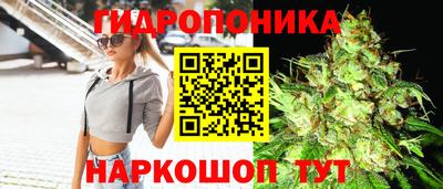 jwh Рыбинск