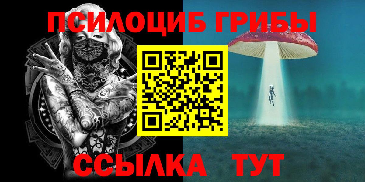 Сосновый Бор  Псилоцибиновые грибы Cubensis  Галлюциногенные грибы мицелий  даркнет сайт  Вход с VPN 